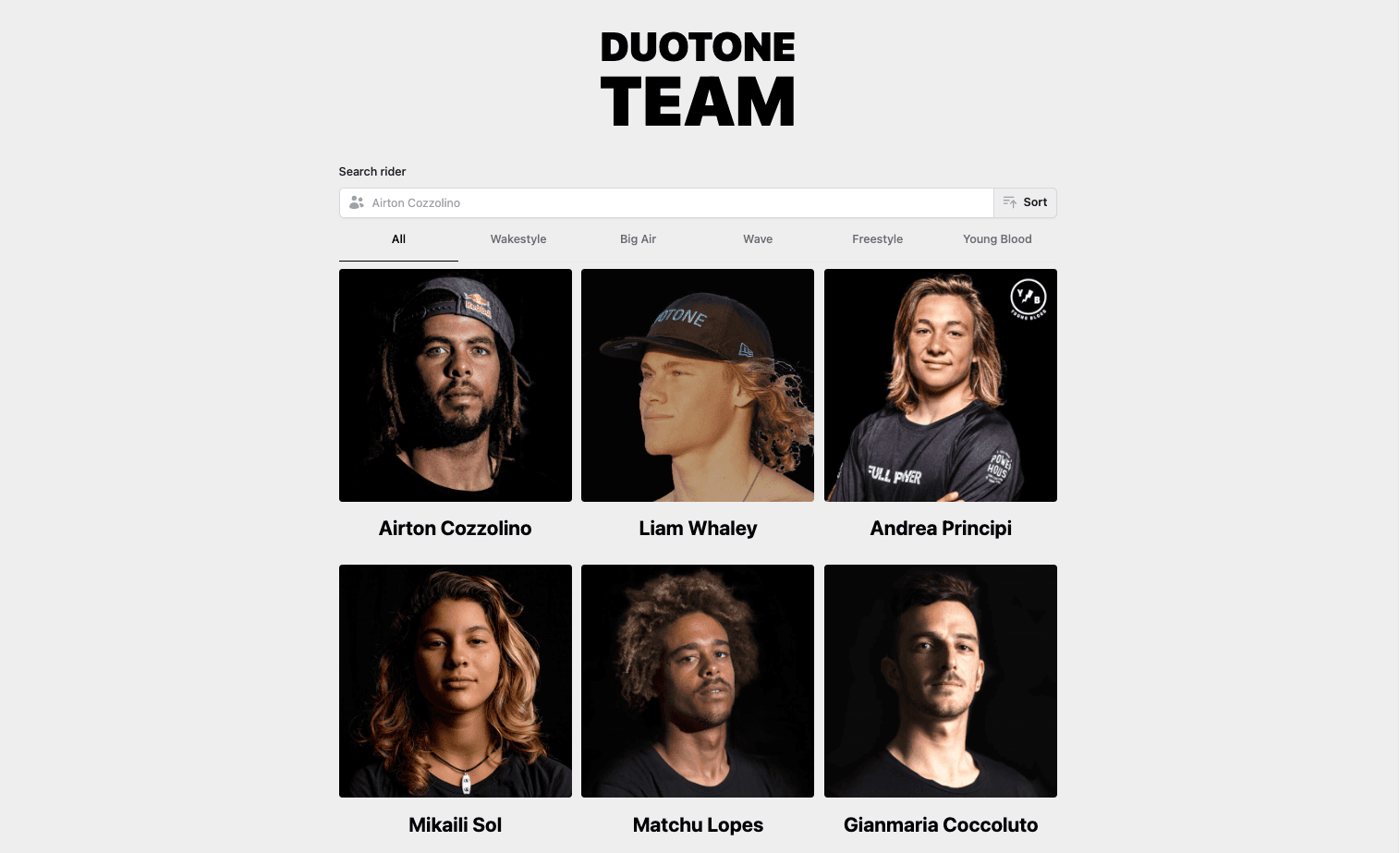 Duotone Team — captura del proyecto