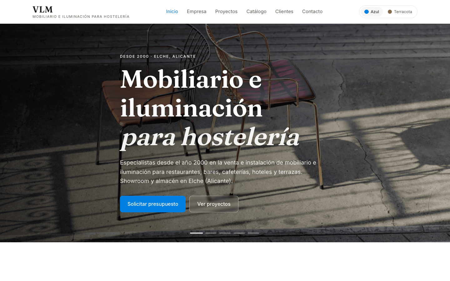 VLM — captura del proyecto